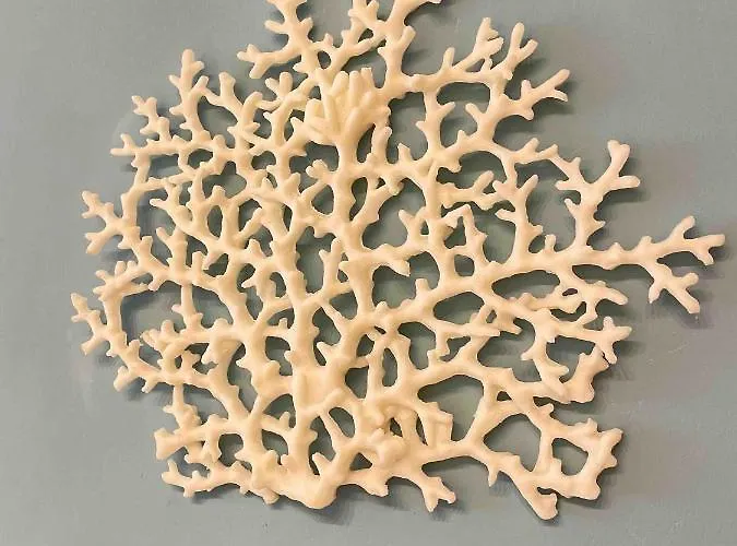 Amazing Flat Central Wi Fi A/c Rapallo